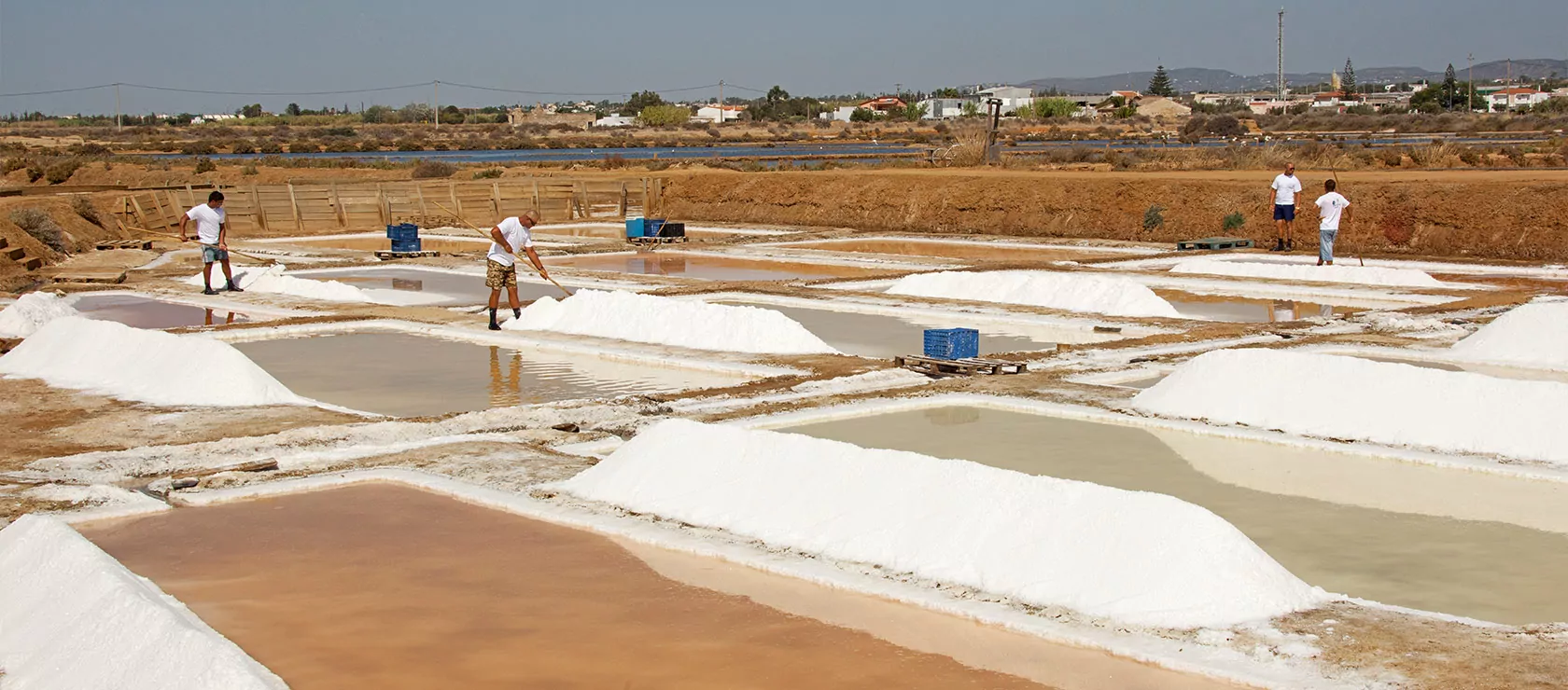 SIAB-hero-salt-2